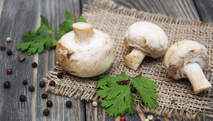 Champignon-1