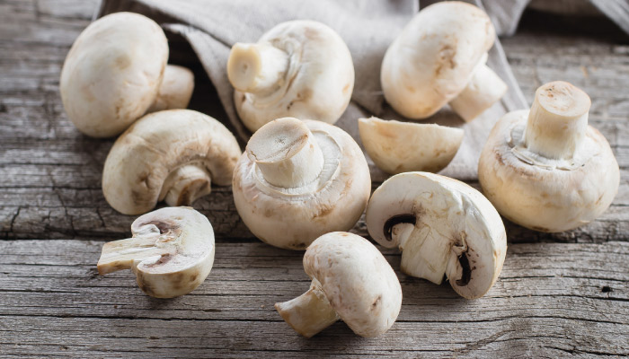Champignon-2